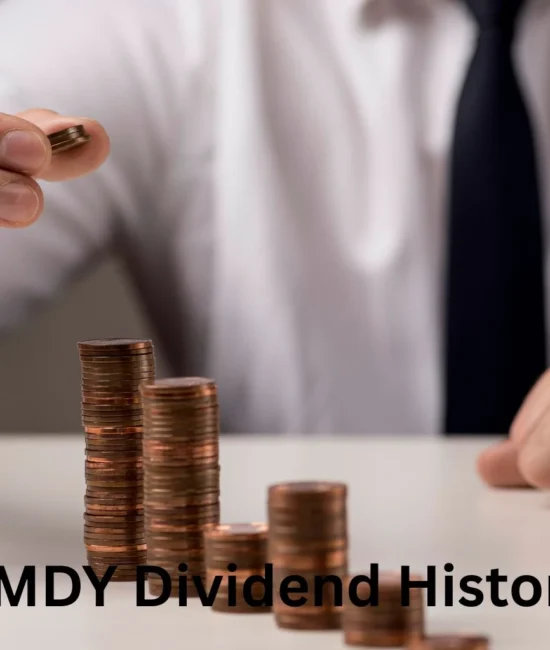 AMDY Dividend History: Payout Trends & Best Analysis 2026